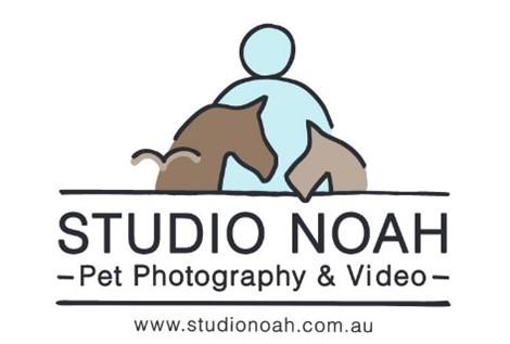 Studio Noah Logo