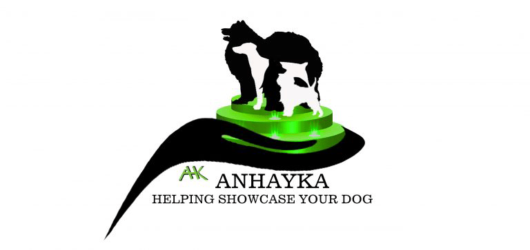 logo-anhayka