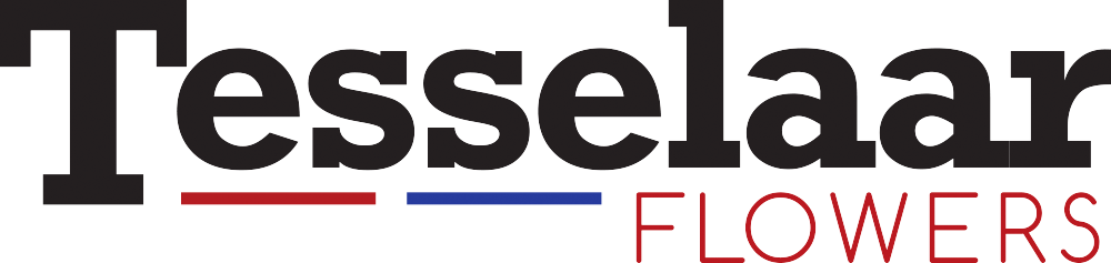 logo-tesselaar